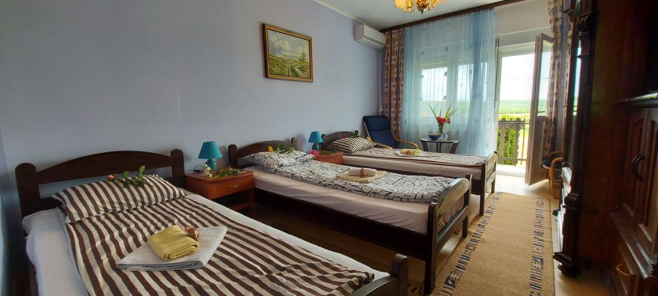 Guest House Dunavski Raj Kostol Exterior foto