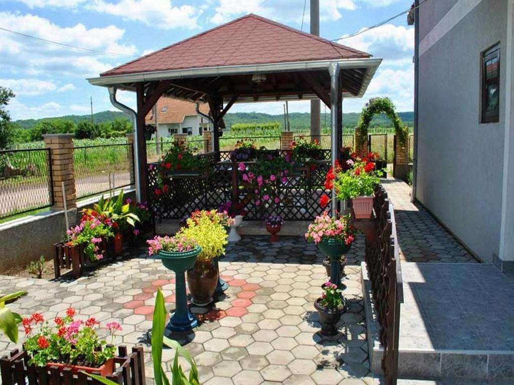 Guest House Dunavski Raj Kostol Exterior foto